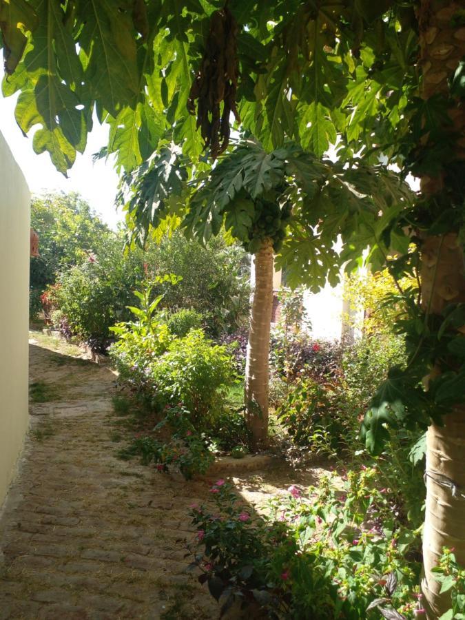 Tasneem Palace Luxor Exterior photo